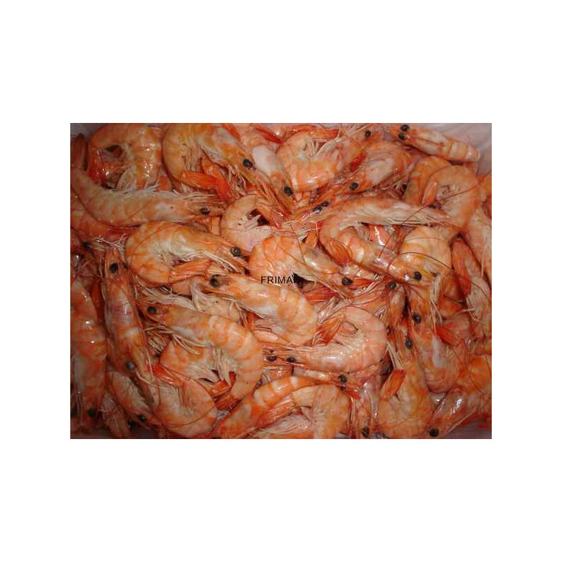 SALSA HEINZ ketchup p/p 250 g